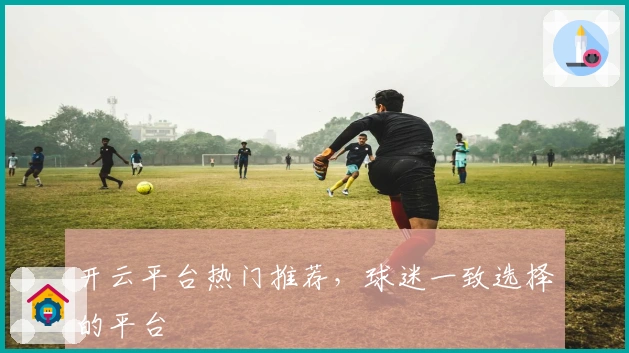 开云平台热门推荐，球迷一致选择的平台