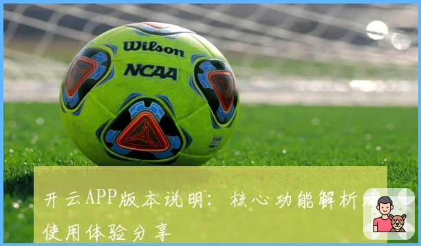 开云APP版本说明：核心功能解析及使用体验分享