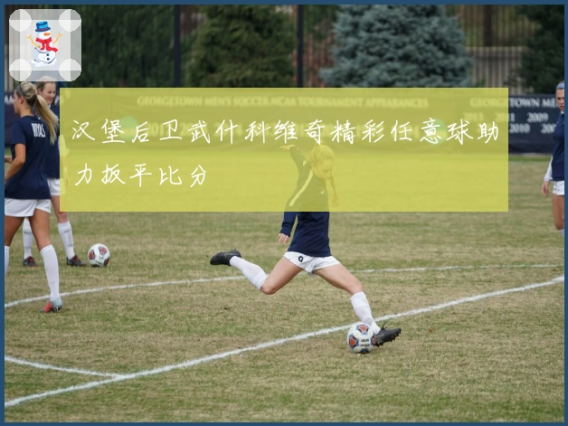 汉堡后卫武什科维奇精彩任意球助力扳平比分