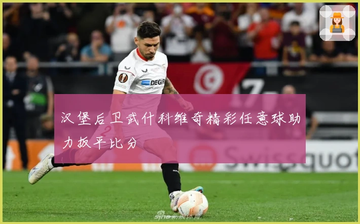 汉堡后卫武什科维奇精彩任意球助力扳平比分